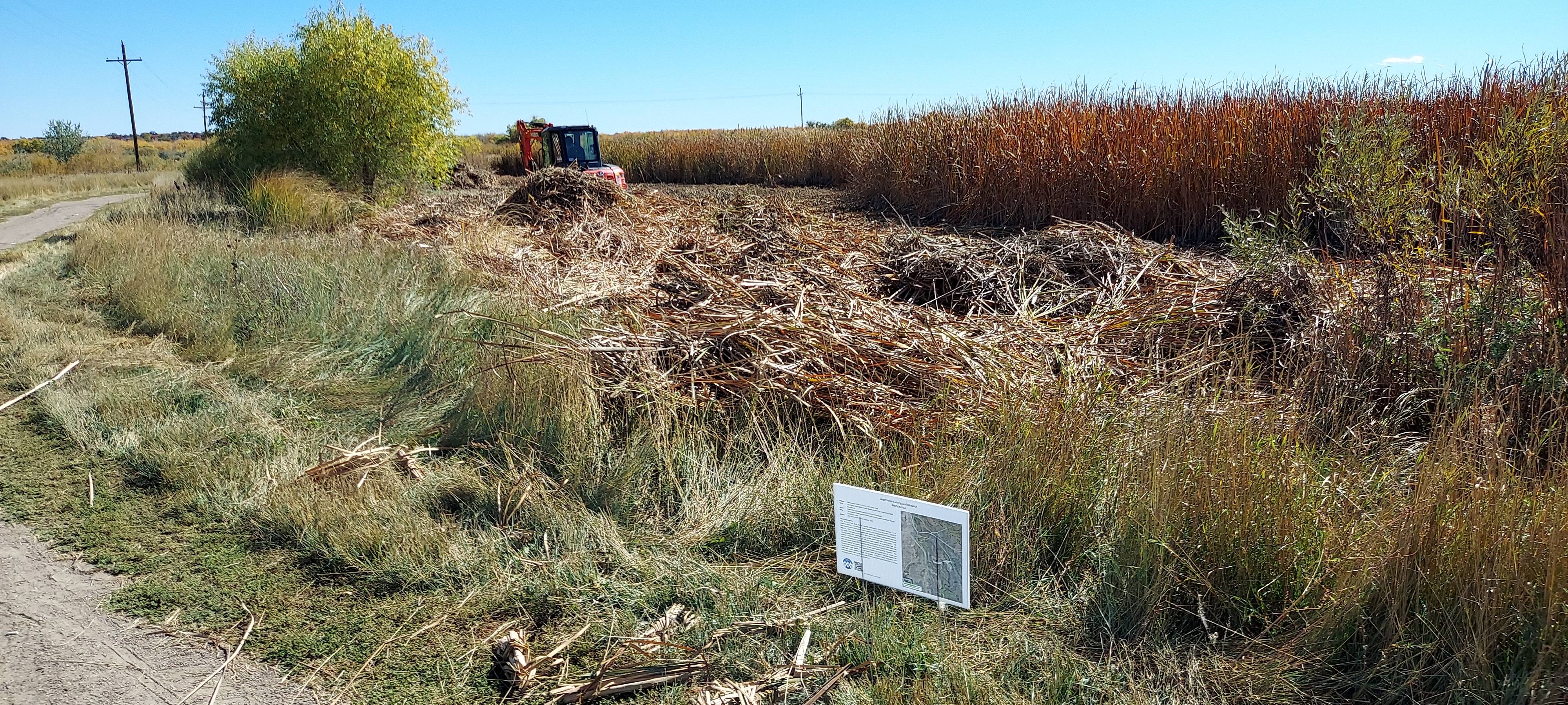 Wetland Harvesting