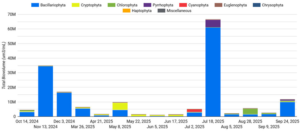 Phytoplankton Populations