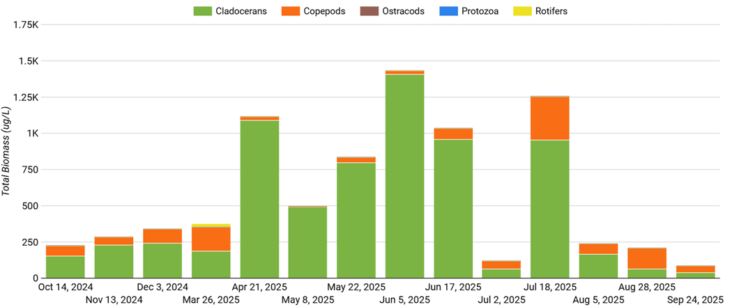 Zooplankton Populations