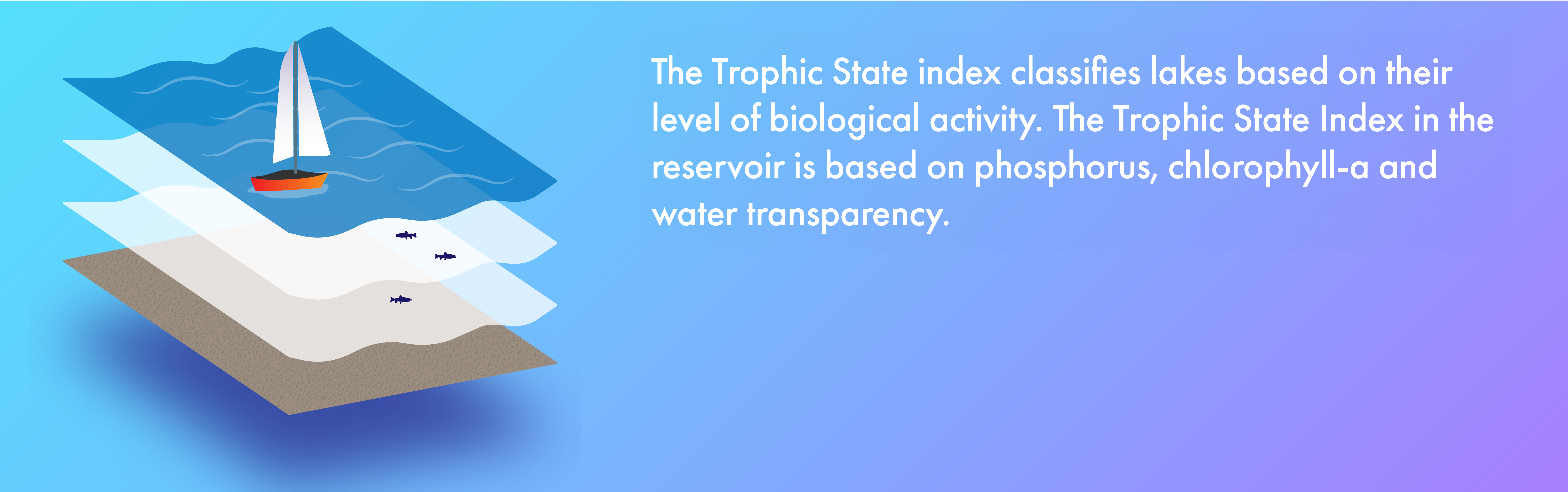 Depth profile graphic
