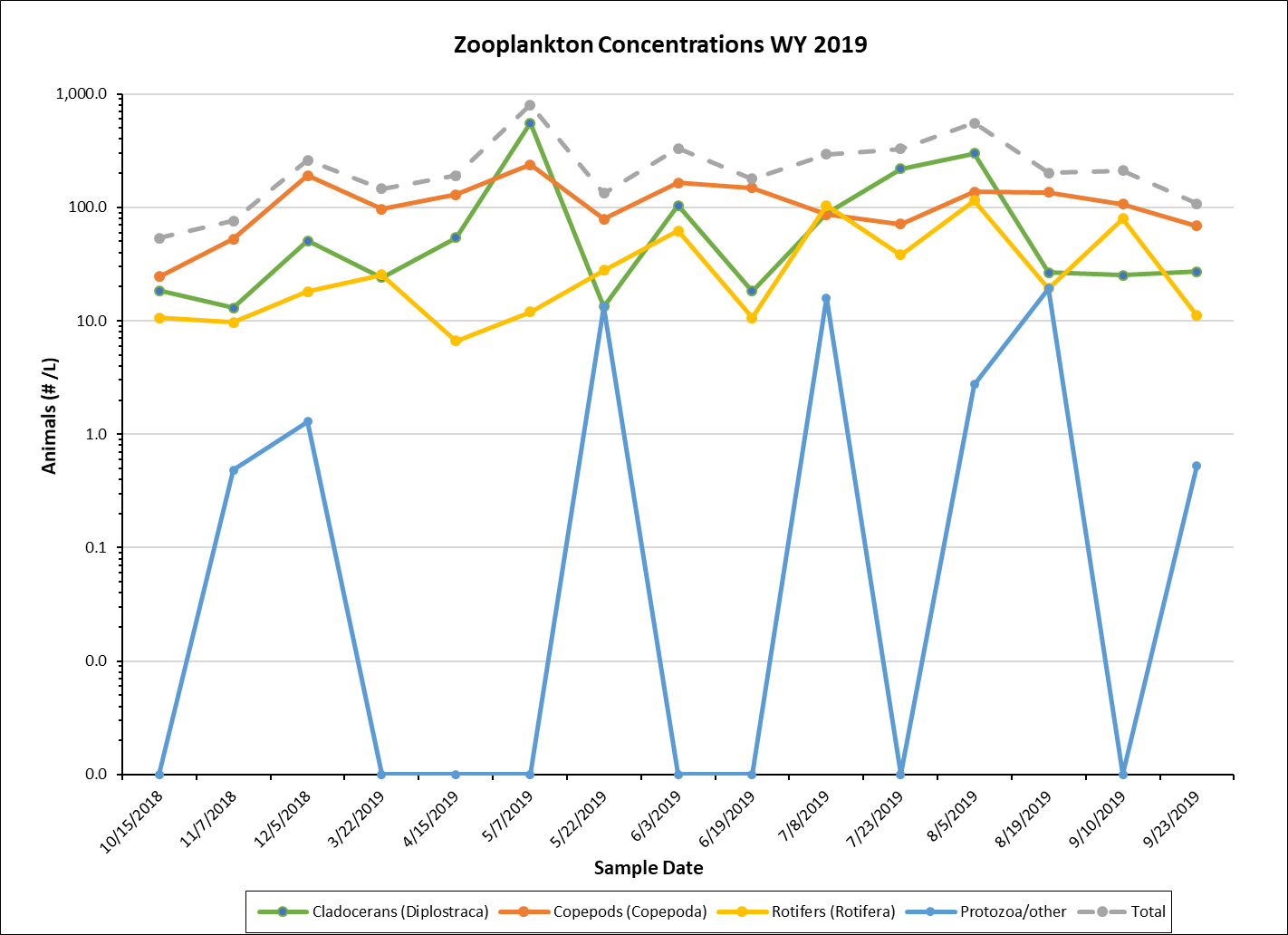 Zoooplankton Concentrations graph