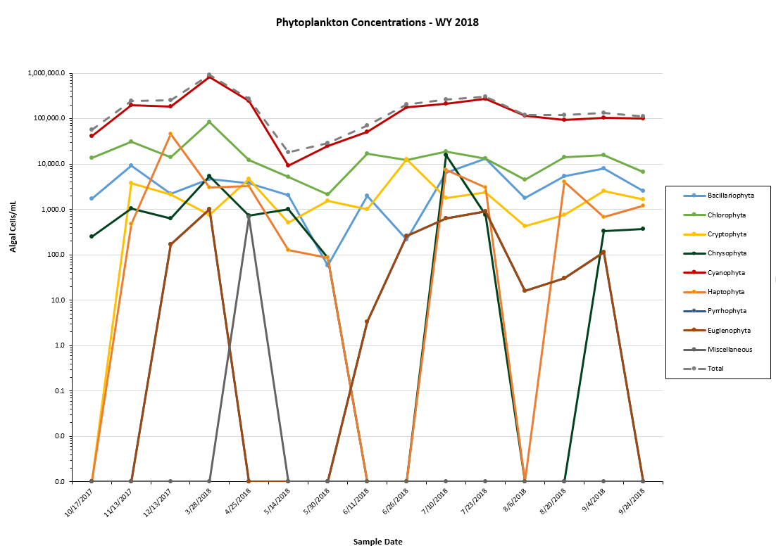 Phytoplankton Concentrations graph